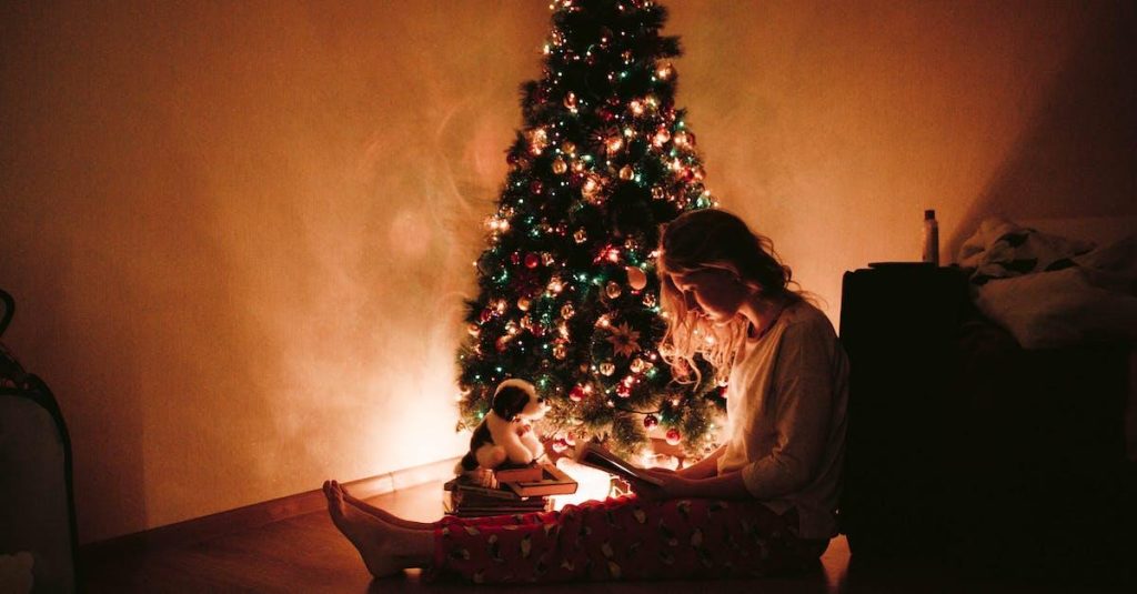 Alt du skal vide om juletræer – en guide til en fantastisk jul