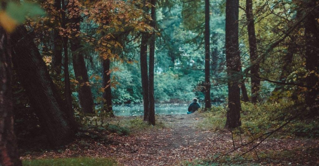 Venture ud i naturen og opdag et nyt eventyr i vores vidunderlige verden