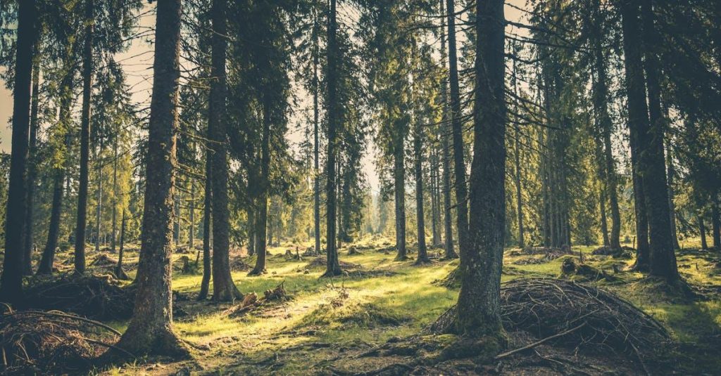 Forståelsen af ESG og betydningen af en ansvarlig forretningspraksis