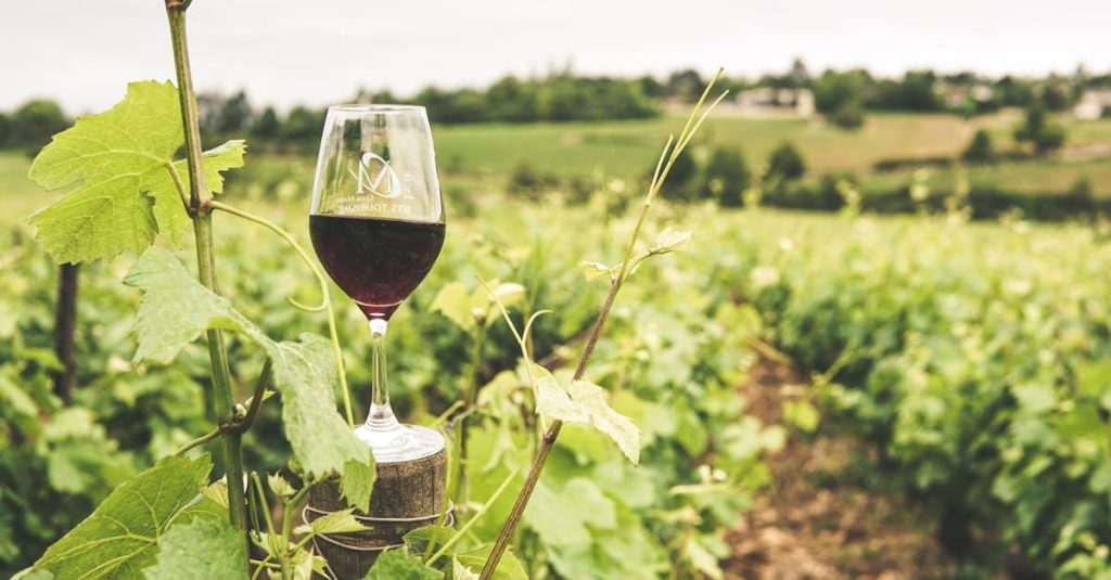 Køb franske vine fra Min Franske Vinimportør og oplev ægte fransk vinkultur